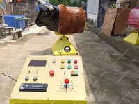 Taureau mécanique gonflable de 16,4 pieds, mécanisme de taureau mécanique, taureau mécanique avec matelas