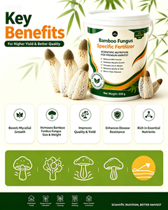 <span class=keywords><strong>Engrais</strong></span> pour champignons Dictyophora 500g : Stimule le mycélium et le rendement pour la culture de champignons de <span class=keywords><strong>bambou</strong></span> - Product Image 2