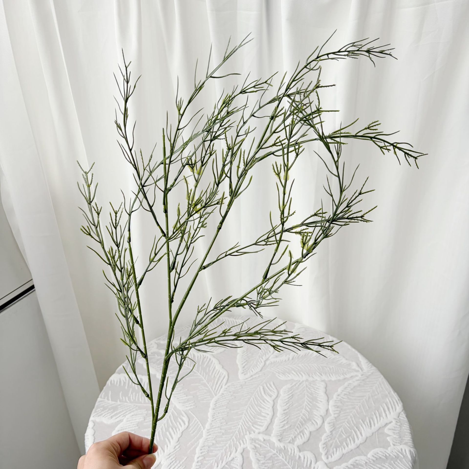 หน่อไม้ฝรั่งพันธุ์โคจินเชียนเซนส์ (สีธรรมชาติ) จำนวน 23 หน่อ