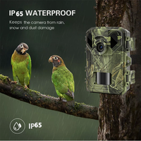 Mini caméra de surveillance de la faune avec détection de mouvement, version WiFi, 4K 48MP, contrôle par application