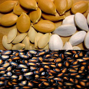 Bí Ngô Hoặc Hạt Dưa Hấu Harvester, Extractor, Separator, Remover, Collector, Huller Máy Phù Hợp Với Máy Kéo - Product Image 5