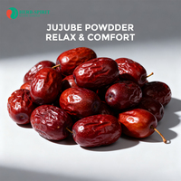 OEM ISO GMP 100% poudre de jujube naturel pur poudre d'extrait de jujube poudre de dattes rouges cuites pour smoothies shakes cuisson et boissons