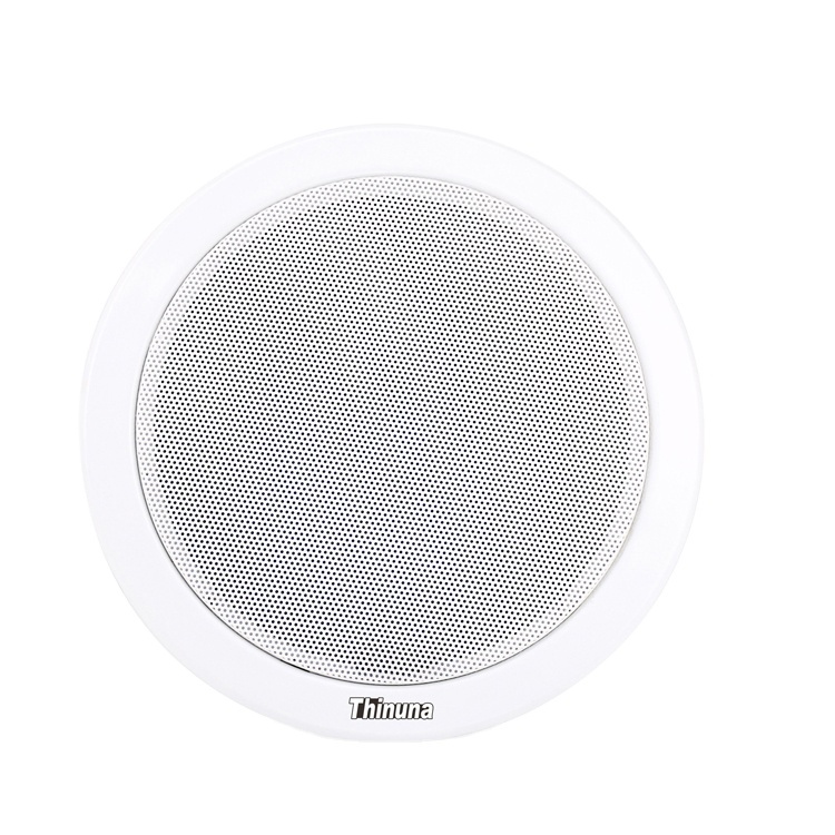 CS-205A Cheap PA 6.5 Inch Full Range Invisible Speaker Inside Walls Low Profile Surface Install Unseen In Ceiling Loudspeaker · image 2