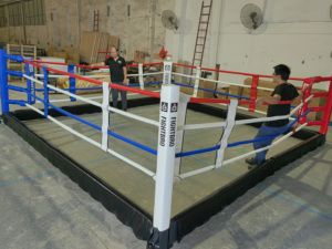 Fightbro RFD Anneau <span class=keywords><strong>de</strong></span> <span class=keywords><strong>boxe</strong></span> pliable 3x3 - Product Image 4