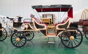 Bon prix visite personnalisée Victoria calèche électrique sans cheval pour entreprise de location - Product Image 5