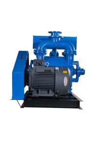 ระบบสุญญากาศกลางสำหรับห้องปลอดเชื้อในการผลิตเซมิคอนดักเตอร์และพื้นที่บริการ ปั๊มสุญญากาศแบบวงแหวนน้ำ 2BEC - Product Image 3