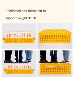 Cage de Transport en Plastique pour Volaille Cage à Poulets Cadres pour Poulets Équipement Agricole - Product Image 6