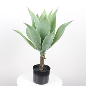 Planta de <span class=keywords><strong>agave</strong></span> gigante artificial, hierba suculenta de 80cm, verde <span class=keywords><strong>en</strong></span> <span class=keywords><strong>maceta</strong></span> de plástico a la venta - Product Image 1