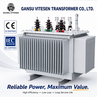Transformador de Distribución Trifásico S20 con Bobinado de Cobre Sumergido en Aceite de 50kVA a 2500kVA, Equipo Eléctrico de Ahorro Energético Personalizado