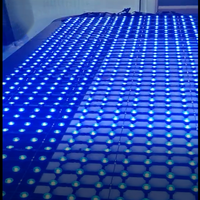 Écran vidéo mural en maille de pixels LED transparente pleine couleur P100 pour les événements