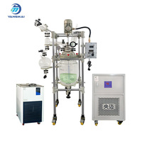 Reactor de Vidrio Industrial para Laboratorio con Camisa de Circulación y Circulador de Calentamiento y Enfriamiento