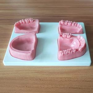 หุ่นฝึกเย็บแผลในช่องปากขนาดเท่าคนจริง พร้อมฐานและโมดูลฟัน สำหรับนักศึกษาทันตกรรม ฝึกอบรมการสอนขั้นสูง อุปกรณ์ทำจาก PVC - Product Image 2