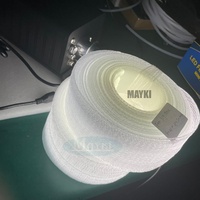Lumières à fibres optiques pour piscine, lumières à fibres optiques LED étanches IP65 pour l'éclairage extérieur des arbres de jardin