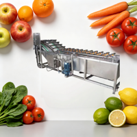 Gerecycleerde waterbel-wasmachine voor groente- en fruitverwerkingsbedrijven, milieuvriendelijk, multifunctioneel, gemotoriseerd