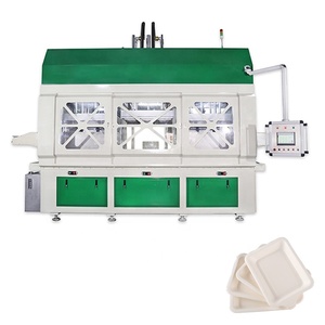 Pulpe (<span class=keywords><strong>CTMP</strong></span>) Moulage Ligne de Produits (Vaisselle Biodégradable Jetable) fabrication - Product Image 6
