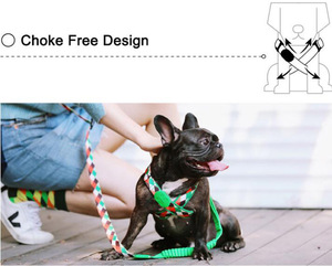 <span class=keywords><strong>Fashion</strong></span> Dog Harness Reflective Breakaway Feature Komfort Weich gepolstertes Nylon <span class=keywords><strong>Pet</strong></span> Arnes Blumen lichter Choke Free Step Dog Harness - Product Image 2