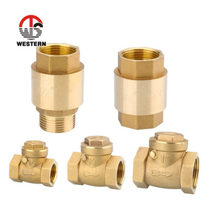 NPT BSP Thread FxF sabbiatura orizzontale acqua Non ritorno in ottone altalena valvola di ritegno unidirezionale per pompa dell'acqua - Product Image 6