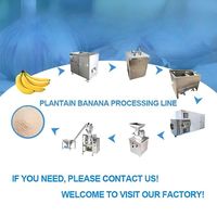 Productielijn voor plantainbananenchips, drogen, malen, groene bananen schillen, plantainpoeder en meel maken.