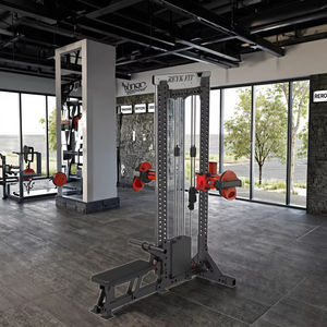 Máquina de Poleas Altas y Bajas REYK - Equipo Comercial para Ejercicios de Tríceps <span class=keywords><strong>con</strong></span> Pila de Pesas de 75+ kg, Bíceps de Acero Inoxidable y Más - Product Image 3