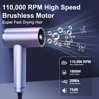 Sèche-cheveux ionique 2100W à double tension avec plusieurs embouts, couleur Pantone personnalisable, acceptation OEM, directement de l'usine