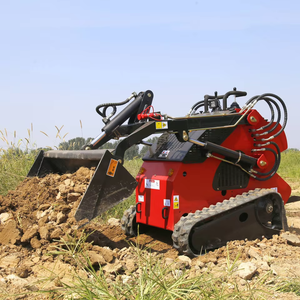 Voorwiel Mini Wiel Skid Loader Graafmachine Case En Onderdelen Nieuwe En Gebruikte Wiel <span class=keywords><strong>Backhoe</strong></span> Mini Skid Stuur Loaders - Product Image 3