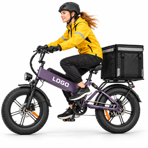 Vélo cargo électrique D40 robuste 750W 48V40AH, charge maximale 200kg, pneus 20x4.0, directement de l'usine, OEM - Product Image 1