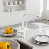 Robinets de cuisine à 5 voies avec robinet d'eau froide étincelante pour robinet de lavabo de cuisine