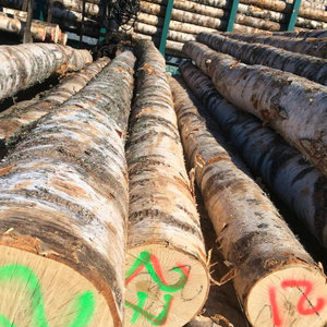 Madera de Azobé Africana, Madera Dura de Grado de Exportación, Troncos Redondos de 60 cm de Diámetro y 4 m de Longitud, Origen del Oeste de África - Product Image 1