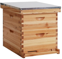 Nouvelle ruche Langstroth complète à deux couches en sapin de Chine, 10 cadres, Menger Bee