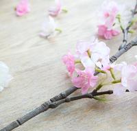 Vente directe d'usine, fleurs artificielles en soie de haute qualité pour la décoration de la maison et des mariages, fleurs de cerisier roses, branche de fleurs