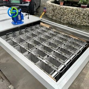 Máquina para Hacer Bloques de Hielo con Sistema <span class=keywords><strong>Brime</strong></span>, Máquina para Hacer Bloques de Hielo Seco y Envolvedora - Product Image 3
