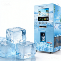 Distributeur automatique de glace à monnayeur 24h/24 et 7j/7 avec paiement intelligent, options multiples et surveillance à distance pour camping (OEM)
