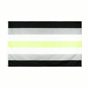 Wholesale Stock Progress 3x5ft Rainbow <b>Flag</b> Transgender Bisexual <b>Flags</b> Lgbt Gay <b>Flag</b> - Product Image 4