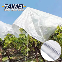 Bâche PE transparente 120gsm couverture résistante aux UV PE enduit serre cerisier Protection pluie acide