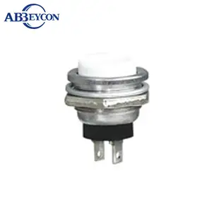 PS01 DS-212 16mm 220 volt push button switch momentary function 2 pin push button switch