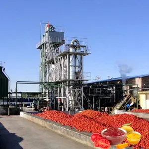 Konsentrat tomat memproses garis tanaman mengisi dan menutup mesin lini produksi jam buah