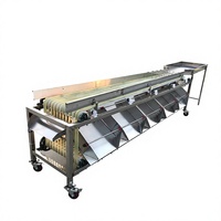 Volledig automatische multifunctionele sorteermachine voor het sorteren van litchi fruit en groenten op maat, voor commercieel gebruik
