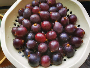 Máquina Despalilladora de Uvas de Acero Inoxidable 304 con Motor, Capacidad de 500 kg/h, Prensa de Uvas, Modelo PH-JCP0.5, 380V - Product Image 5