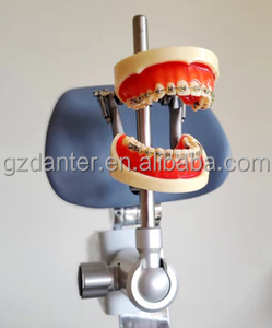 Ortodontik modeller ligatür bağlama eğitim uygulama <span class=keywords><strong>Typodont</strong></span> DP artikülatör ile 32 diş - Product Image 2