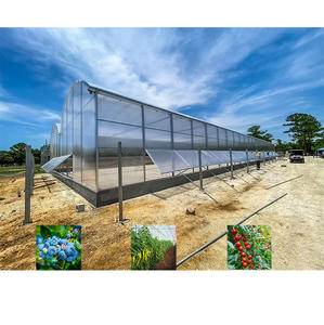 Grande Kit Estufa Jardim com Painel Policarbonato e Alumínio Moldura Verde Capa Material - Product Image 6