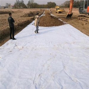 Membrane de drainage géotechnique en tissu non tissé PP <span class=keywords><strong>pour</strong></span> <span class=keywords><strong>allée</strong></span> en <span class=keywords><strong>gravier</strong></span> - Product Image 5