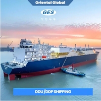 Agent maritime professionnel Chine, service 3PL, expédition vers destinations mondiales, coût réduit, transit en 25-30 jours, assurance LCL+Express