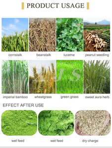 Machine manuelle d'ensilage pour animaux de ferme coupe-paillettes à main <span class=keywords><strong>broyeur</strong></span> à marteaux moteur usage domestique <span class=keywords><strong>broyeur</strong></span> de poisson <span class=keywords><strong>broyeur</strong></span> Kenya - Product Image 2