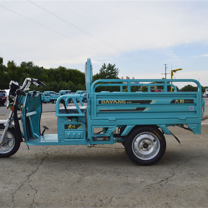 Tricyle Sample 60V 800W Cargo Electric Tricycle Open Loading Body 200kg Payload 38km/h ...