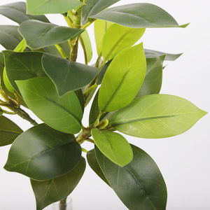 Plante artificielle de simulation, feuille en plastique à changement de couleur Banian Doré, Décoration de fortune pour maison et jardin, 35 feuilles, Vente en gros - Product Image 3