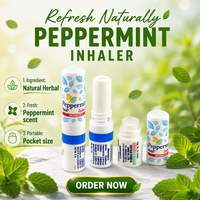 Thaïlandais en gros POY-SIAN inhalateur aromatique inhalateur nasal menthe saveur tube