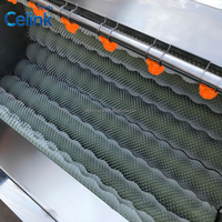 Machine à laver les pommes de terre à rouleaux en acier inoxydable SUS304, équipement commercial automatique de pelage de légumes pour usine