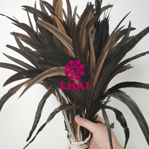 Plumes de queue de coq naturelles demi-bronzées de 30-35 cm en gros pour la fabrication de mouches de pêche <span class=keywords><strong>et</strong></span> les décorations de costumes de carnaval du Mardi Gras - Product Image 5