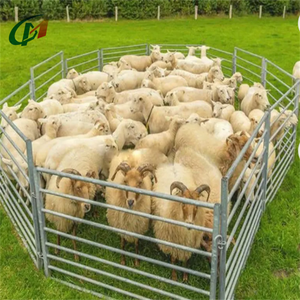 New Zealand Thép Mạ Kẽm Di Động Corral Hàng Rào Cừu Sân Tấm Động Vật Thùng Với Hình Bầu Dục Ống Hàng Rào & Trellis Cổng - Product Image 2