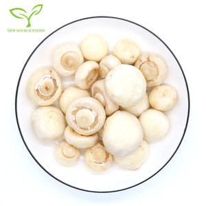 Leverancier Van Bevroren Witte Champignons <span class=keywords><strong>Of</strong></span> Agaricus Bisporus - Product Image 4